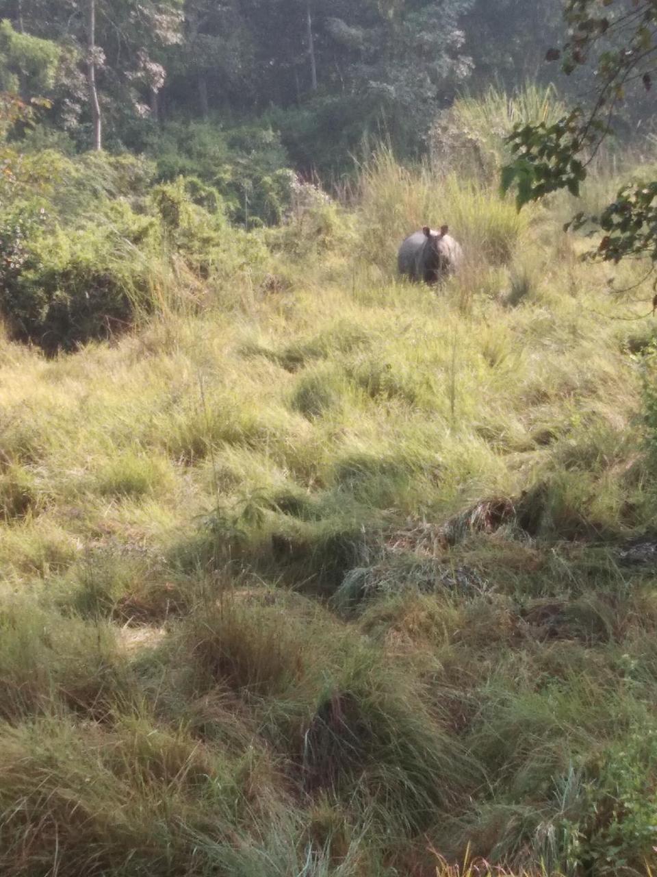 Chital Lodge Chitwan Exteriér fotografie